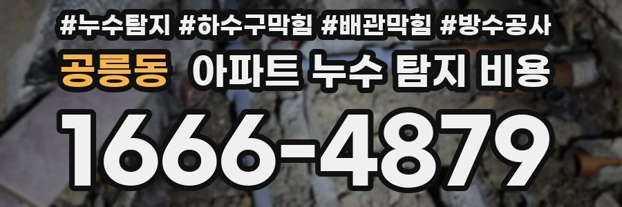 공릉동 아파트 누수 탐지 비용