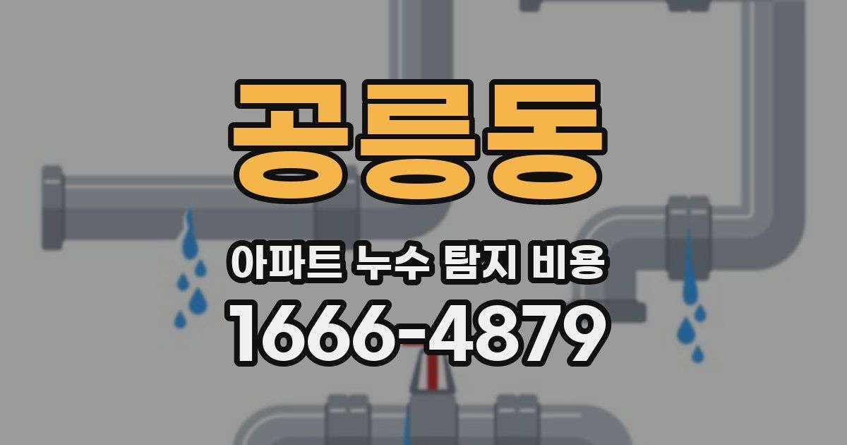 공릉동 아파트 누수 탐지 비용