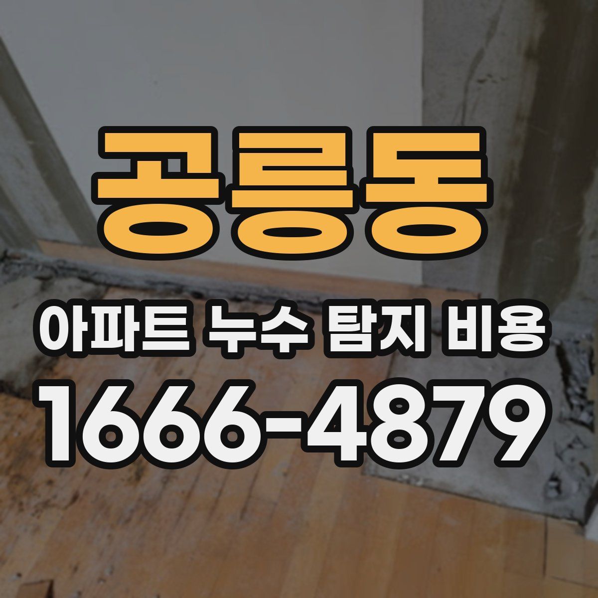 공릉동 아파트 누수 탐지 비용