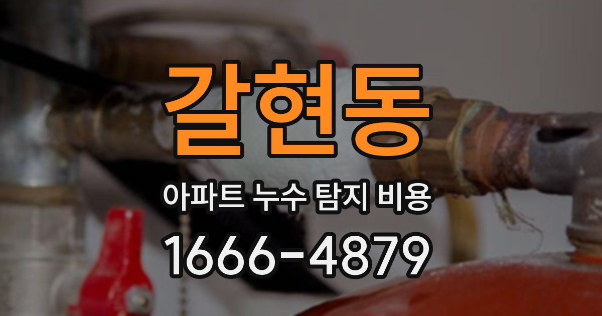 갈현동 아파트 누수 탐지 비용