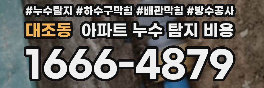 대조동 아파트 누수 탐지 비용