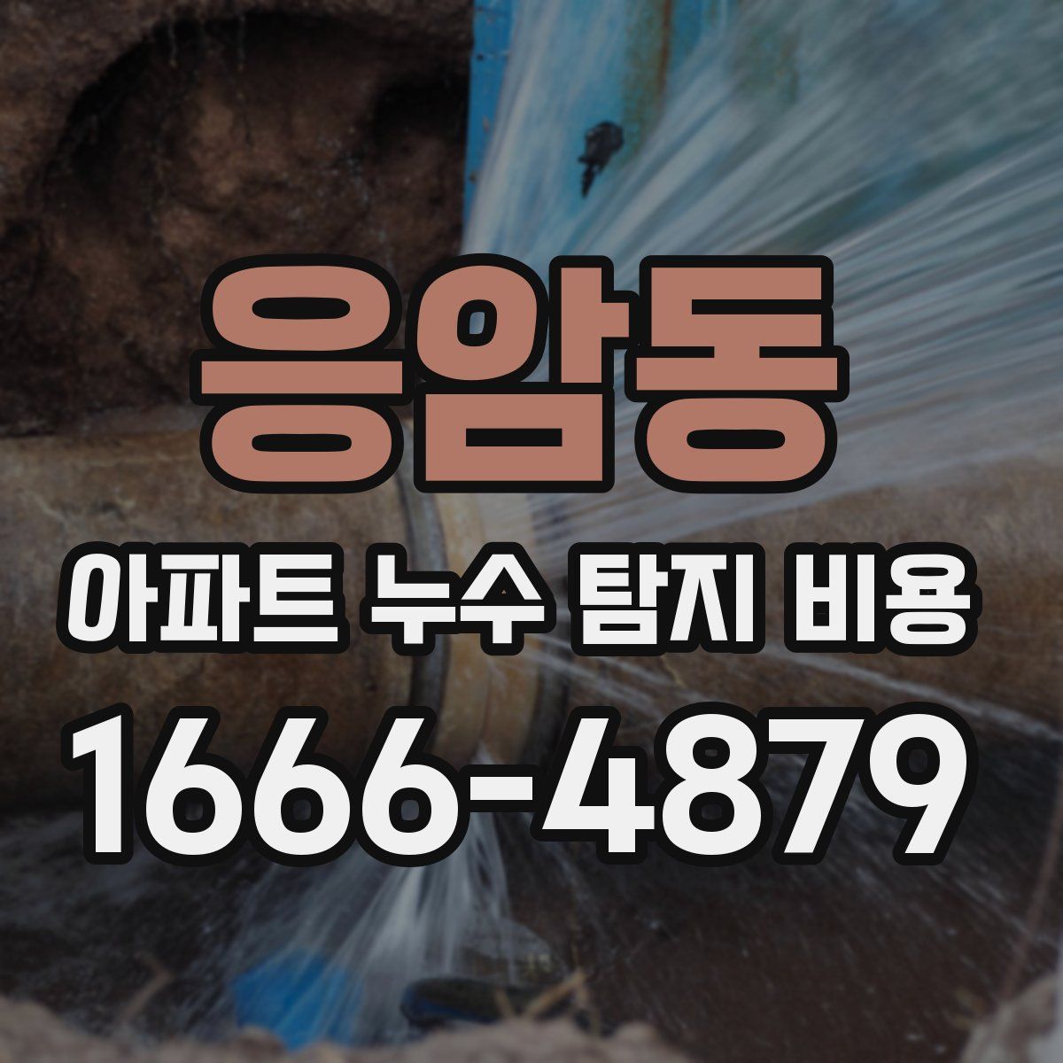 응암동 아파트 누수 탐지 비용