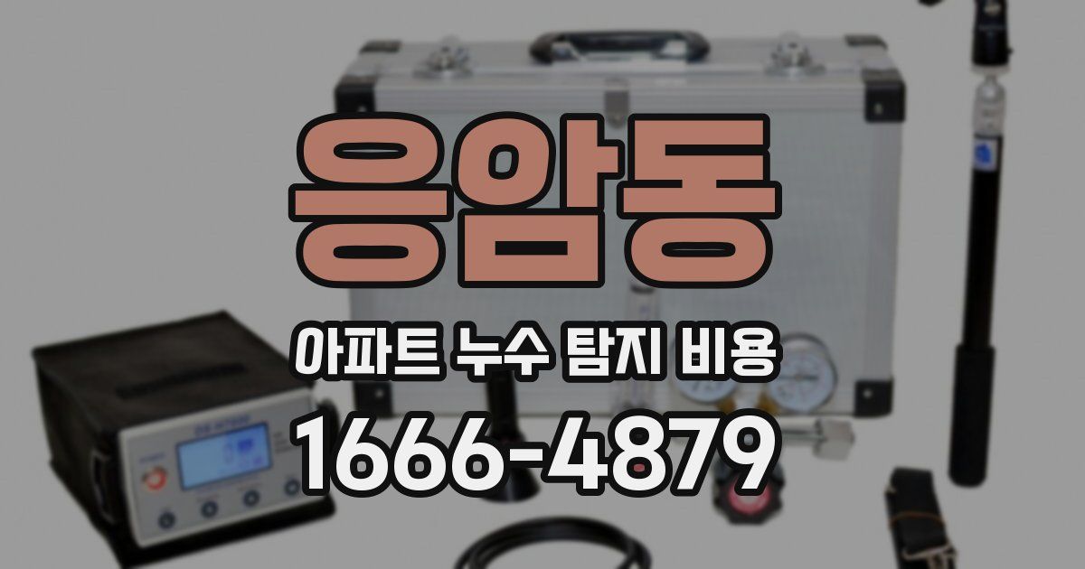 응암동 아파트 누수 탐지 비용
