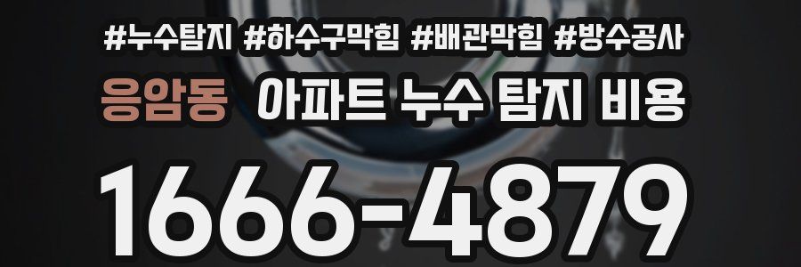 응암동 아파트 누수 탐지 비용