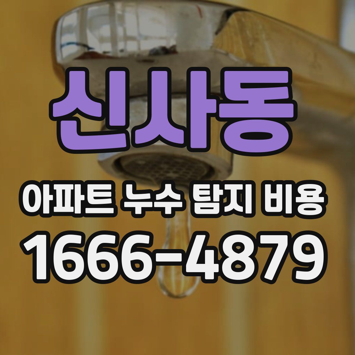 신사동 아파트 누수 탐지 비용