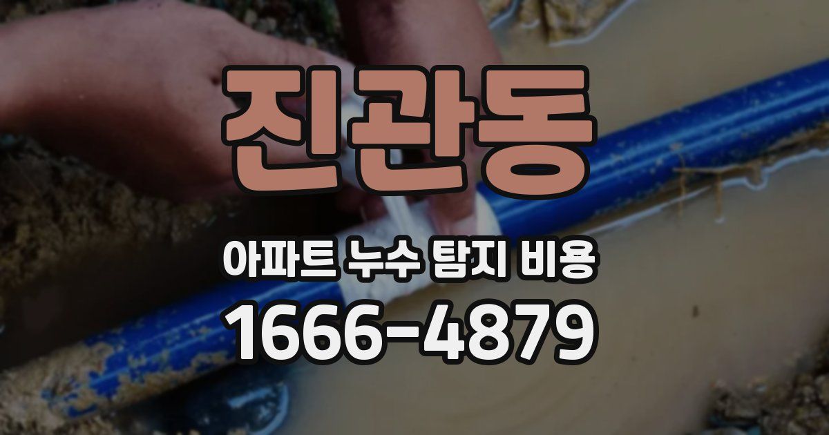 진관동 아파트 누수 탐지 비용