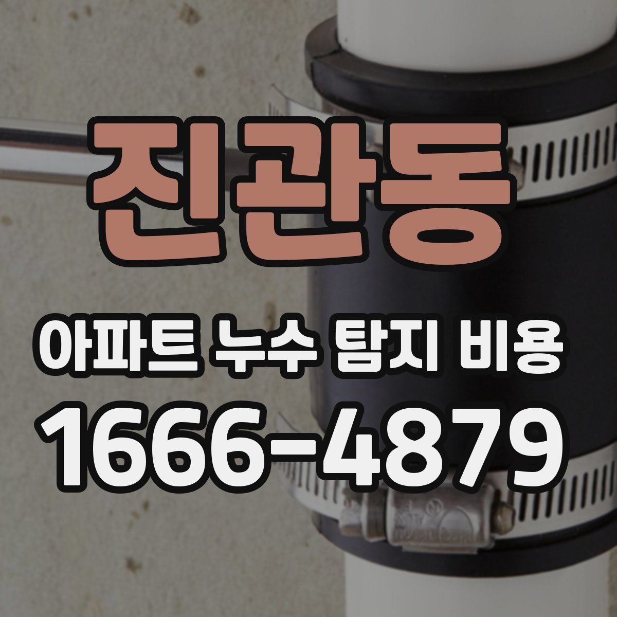 진관동 아파트 누수 탐지 비용