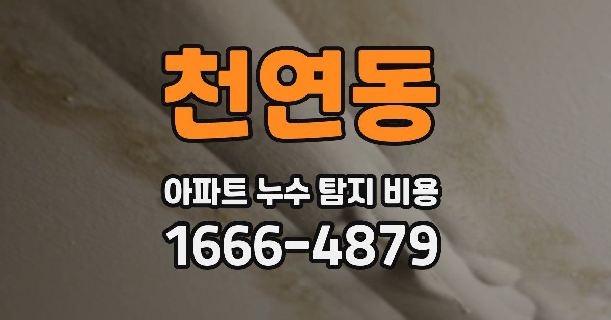 천연동 아파트 누수 탐지 비용