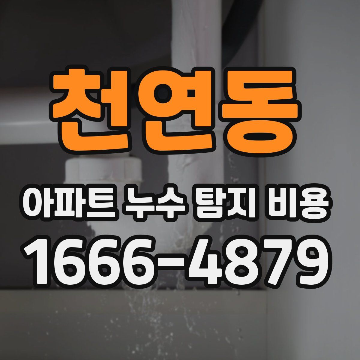 천연동 아파트 누수 탐지 비용