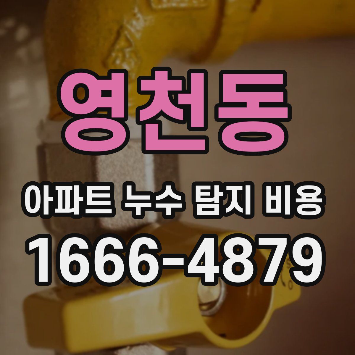 영천동 아파트 누수 탐지 비용
