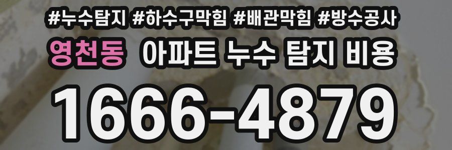 영천동 아파트 누수 탐지 비용