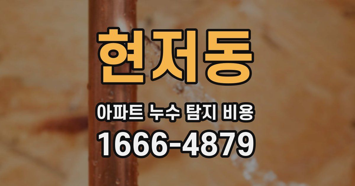 현저동 아파트 누수 탐지 비용