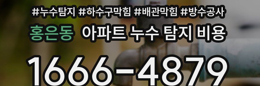 홍은동 아파트 누수 탐지 비용