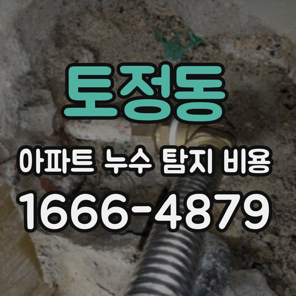 토정동 아파트 누수 탐지 비용