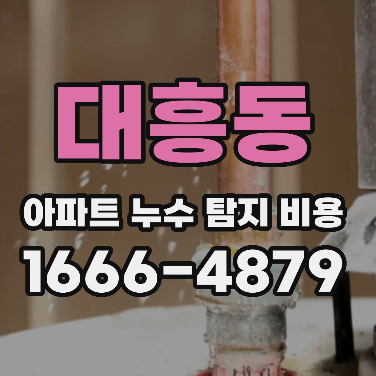 대흥동 아파트 누수 탐지 비용