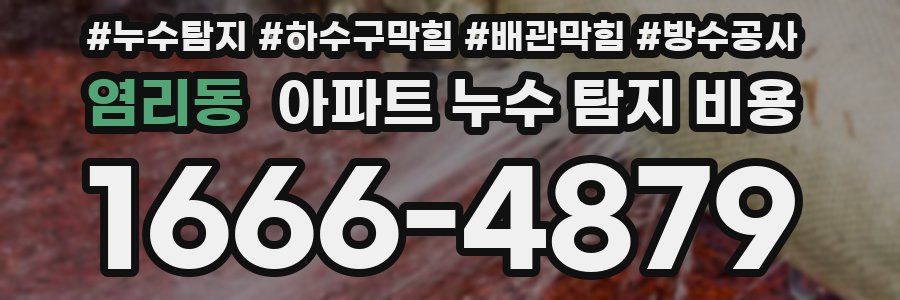 염리동 아파트 누수 탐지 비용