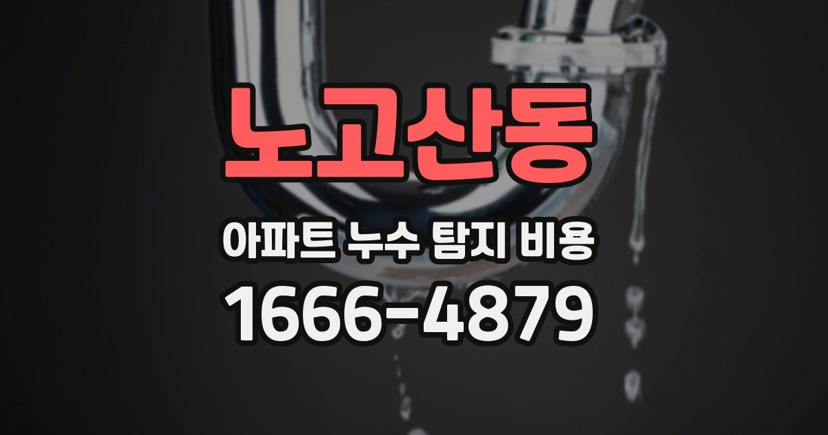 노고산동 아파트 누수 탐지 비용