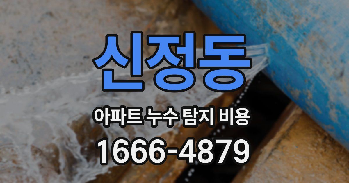 신정동 아파트 누수 탐지 비용