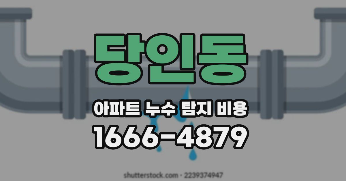 당인동 아파트 누수 탐지 비용