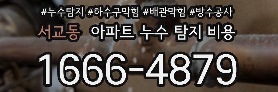 서교동 아파트 누수 탐지 비용