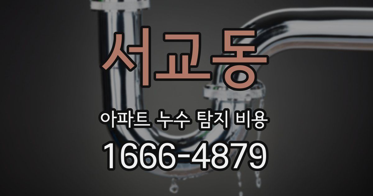 서교동 아파트 누수 탐지 비용