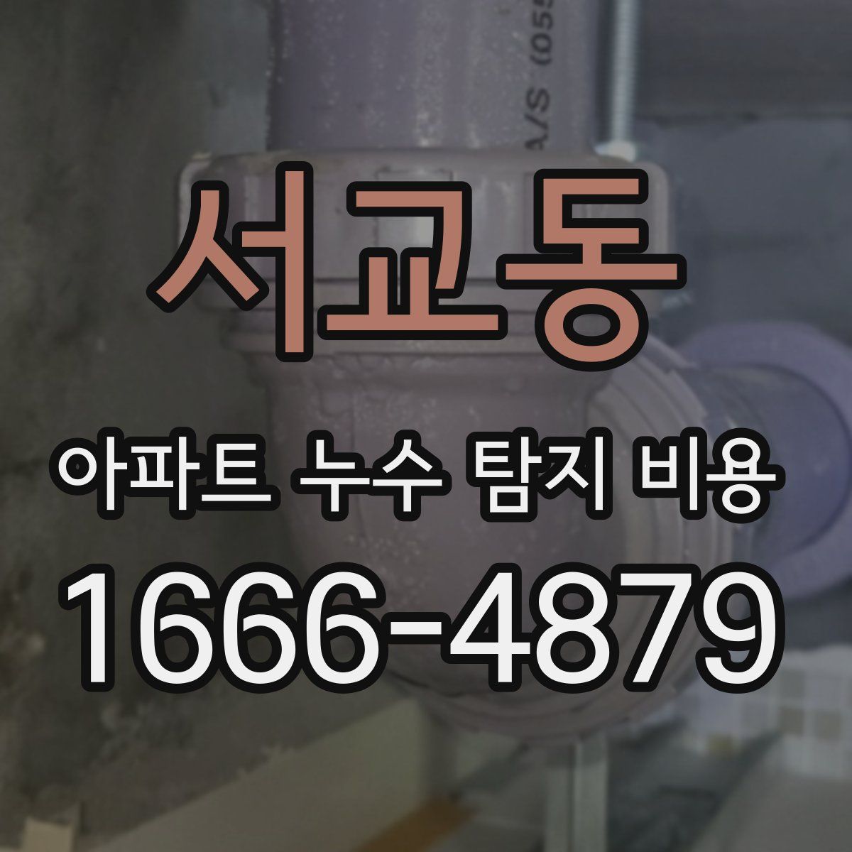 서교동 아파트 누수 탐지 비용