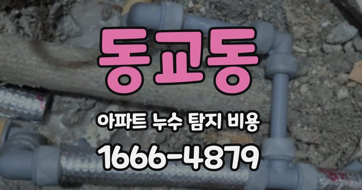 동교동 아파트 누수 탐지 비용