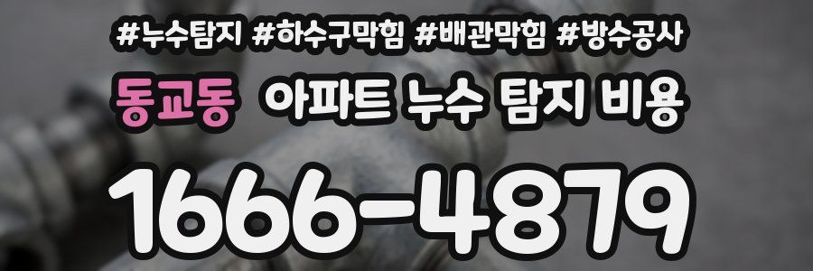 동교동 아파트 누수 탐지 비용
