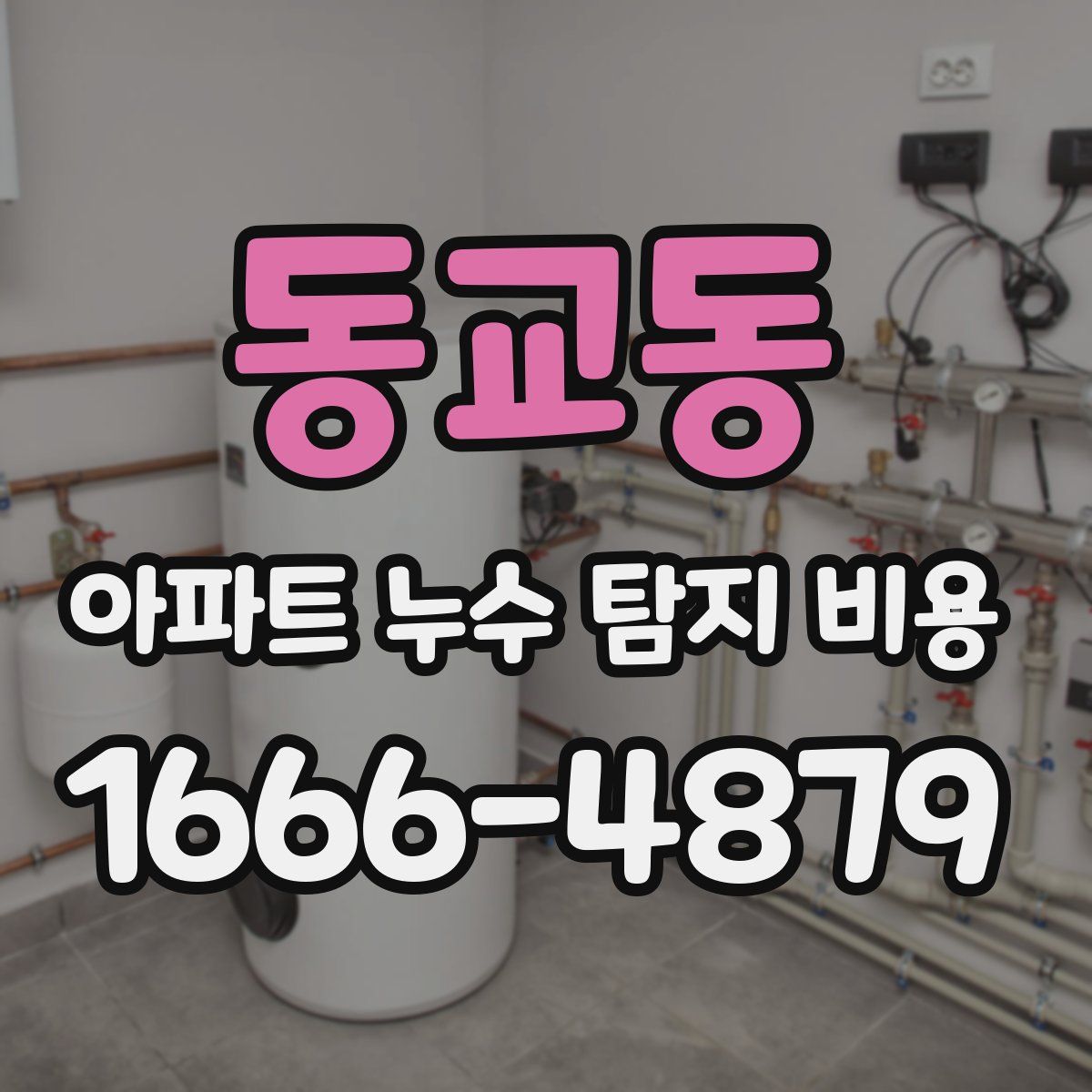 동교동 아파트 누수 탐지 비용