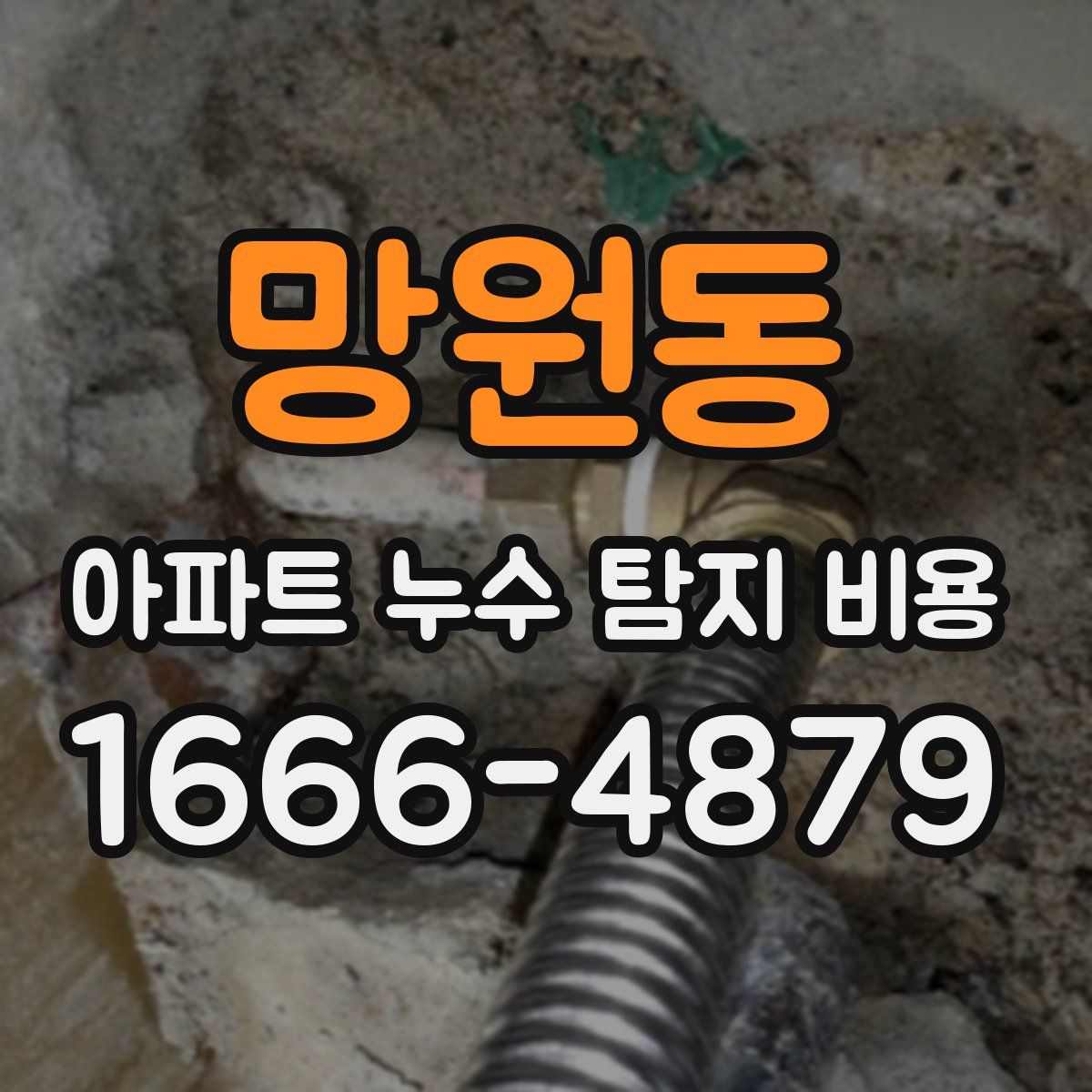 망원동 아파트 누수 탐지 비용