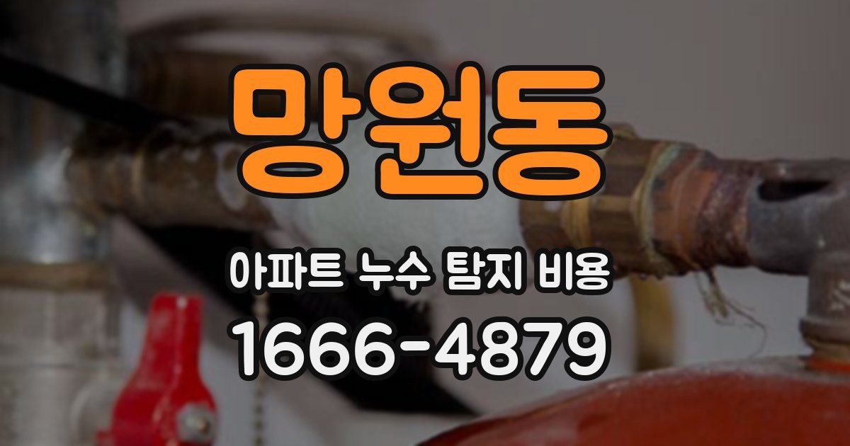 망원동 아파트 누수 탐지 비용