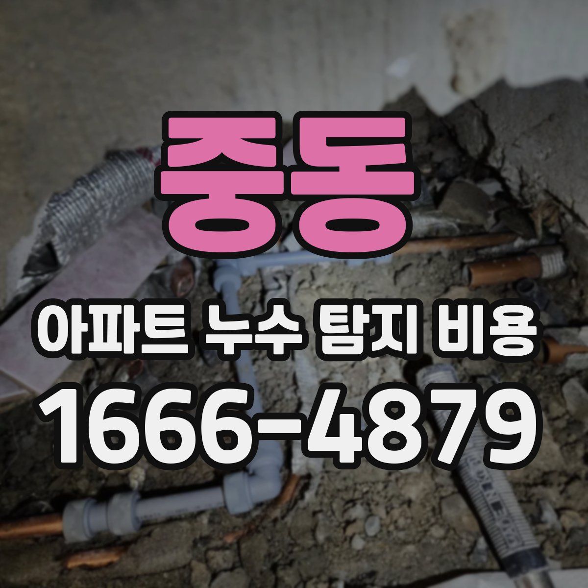중동 아파트 누수 탐지 비용
