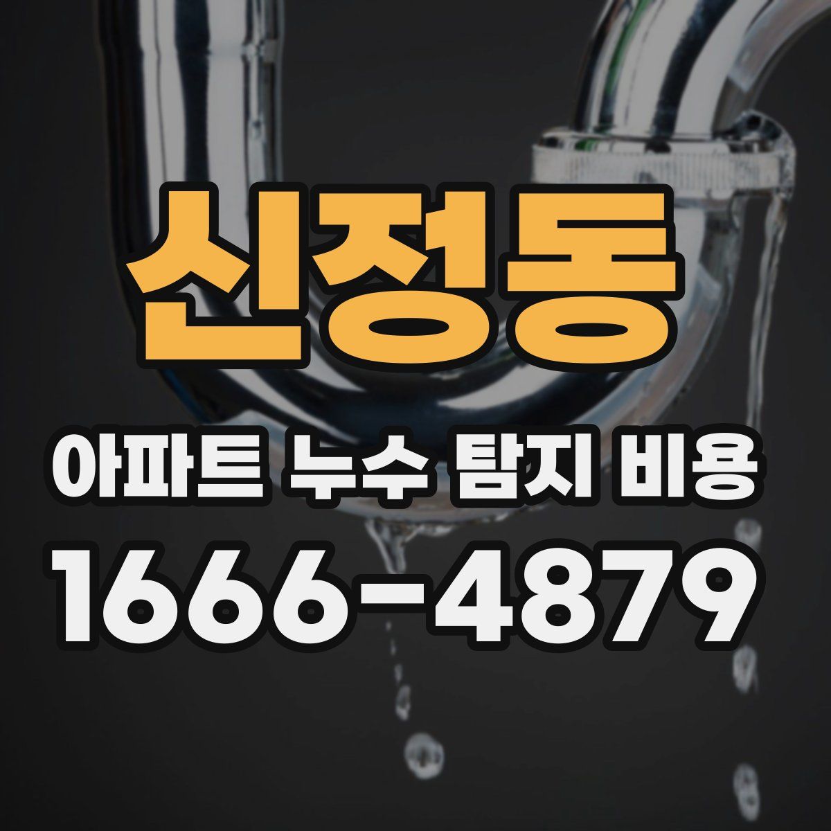 신정동 아파트 누수 탐지 비용