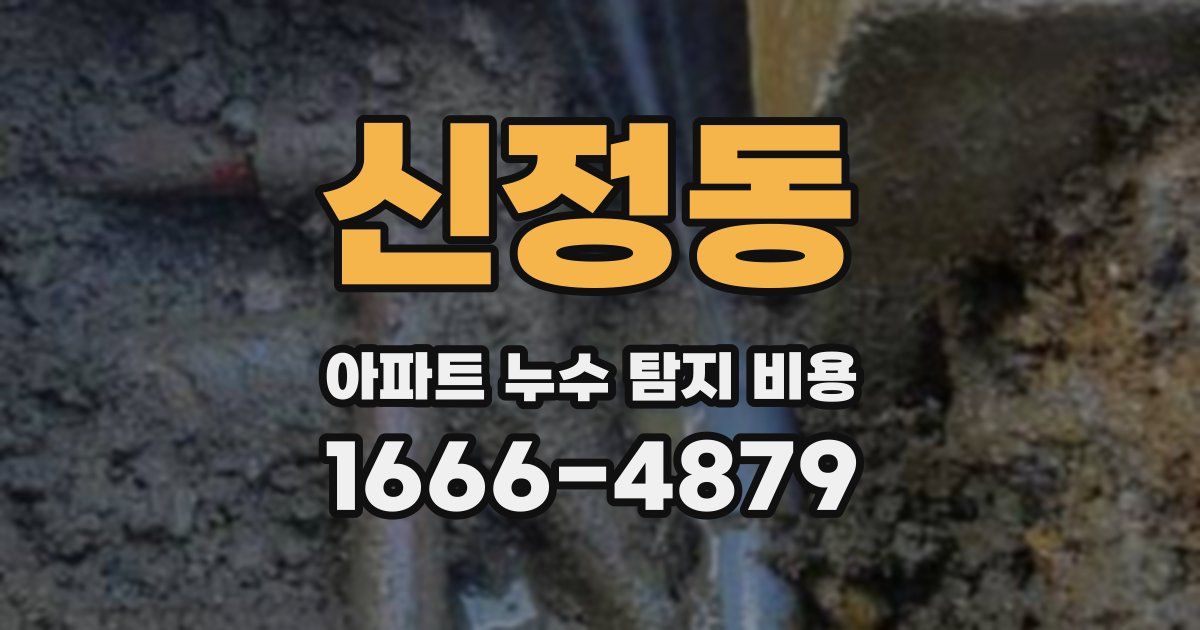 신정동 아파트 누수 탐지 비용