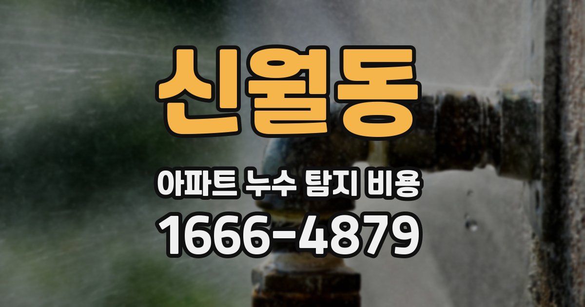 신월동 아파트 누수 탐지 비용
