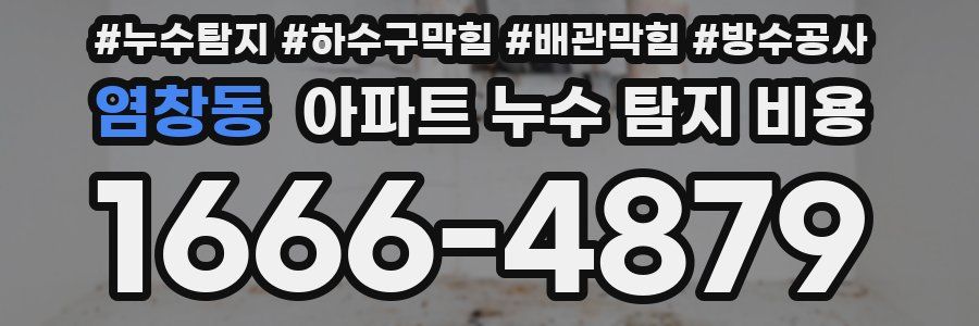 염창동 아파트 누수 탐지 비용