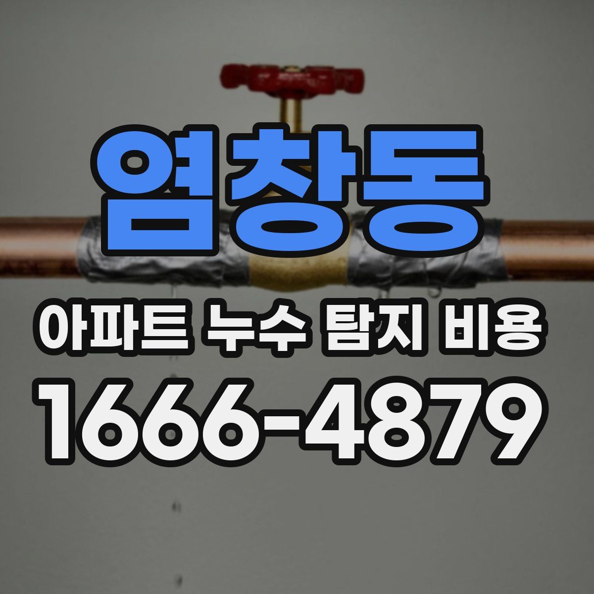 염창동 아파트 누수 탐지 비용