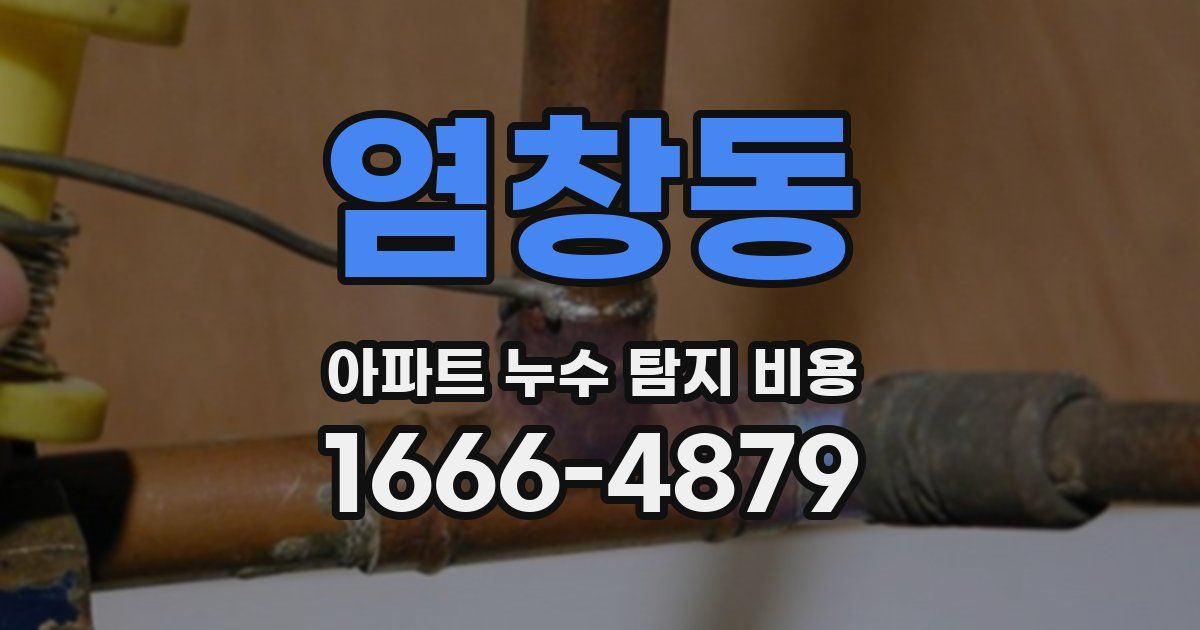염창동 아파트 누수 탐지 비용