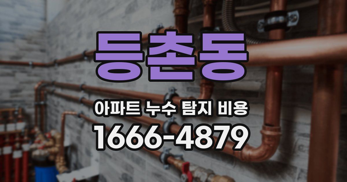 등촌동 아파트 누수 탐지 비용