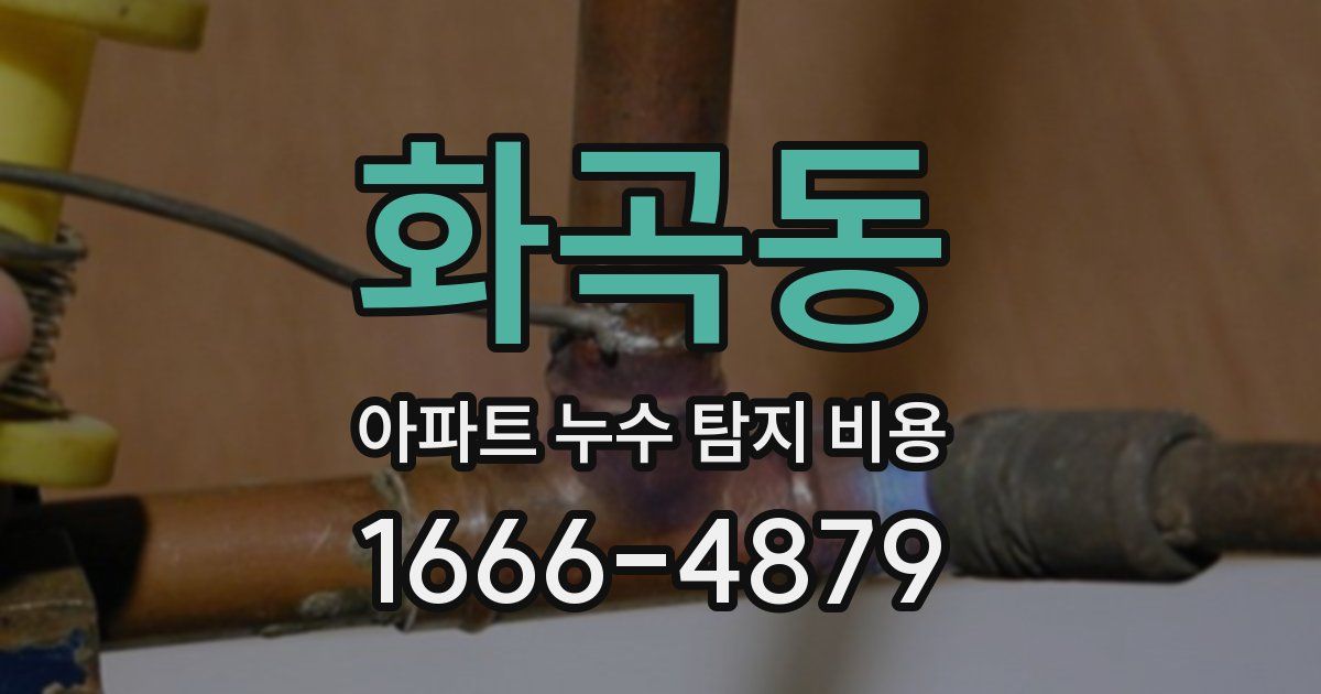 화곡동 아파트 누수 탐지 비용