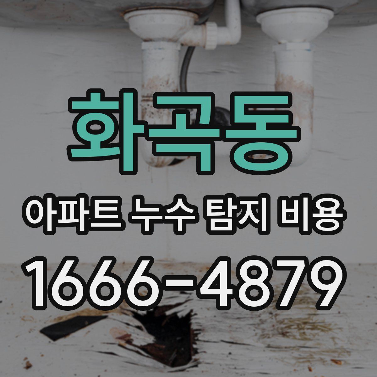 화곡동 아파트 누수 탐지 비용