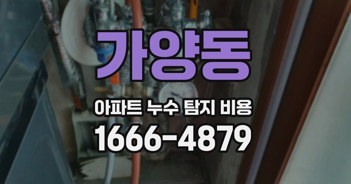 가양동 아파트 누수 탐지 비용