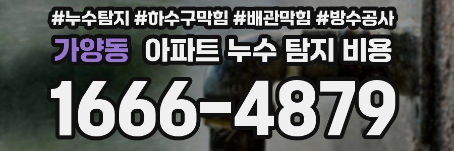 가양동 아파트 누수 탐지 비용