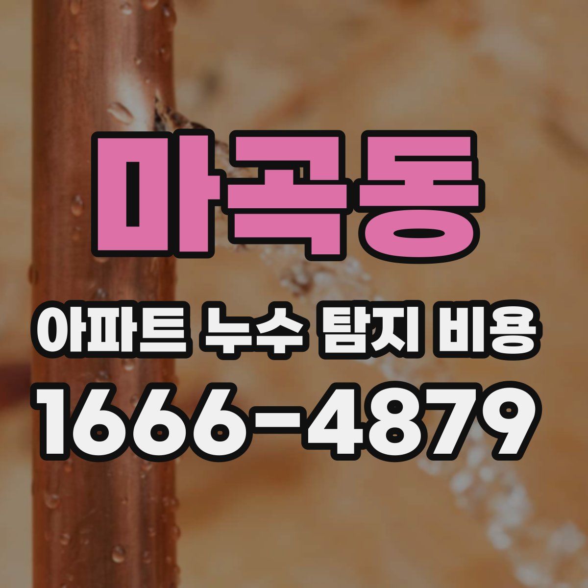 마곡동 아파트 누수 탐지 비용