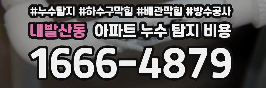 내발산동 아파트 누수 탐지 비용