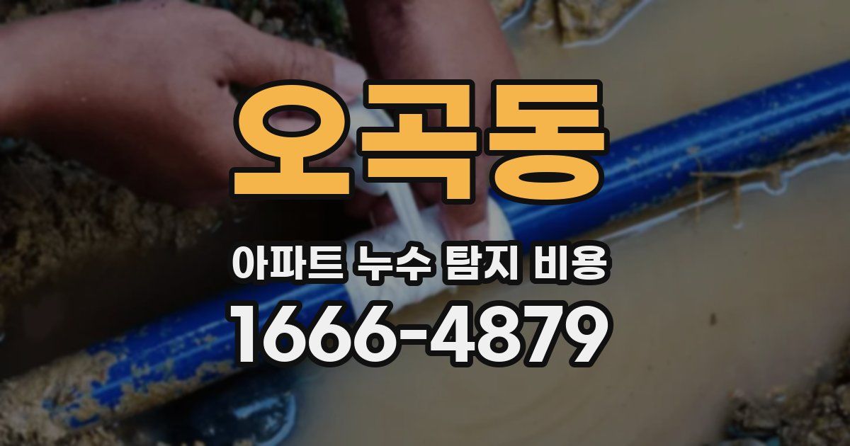 오곡동 아파트 누수 탐지 비용