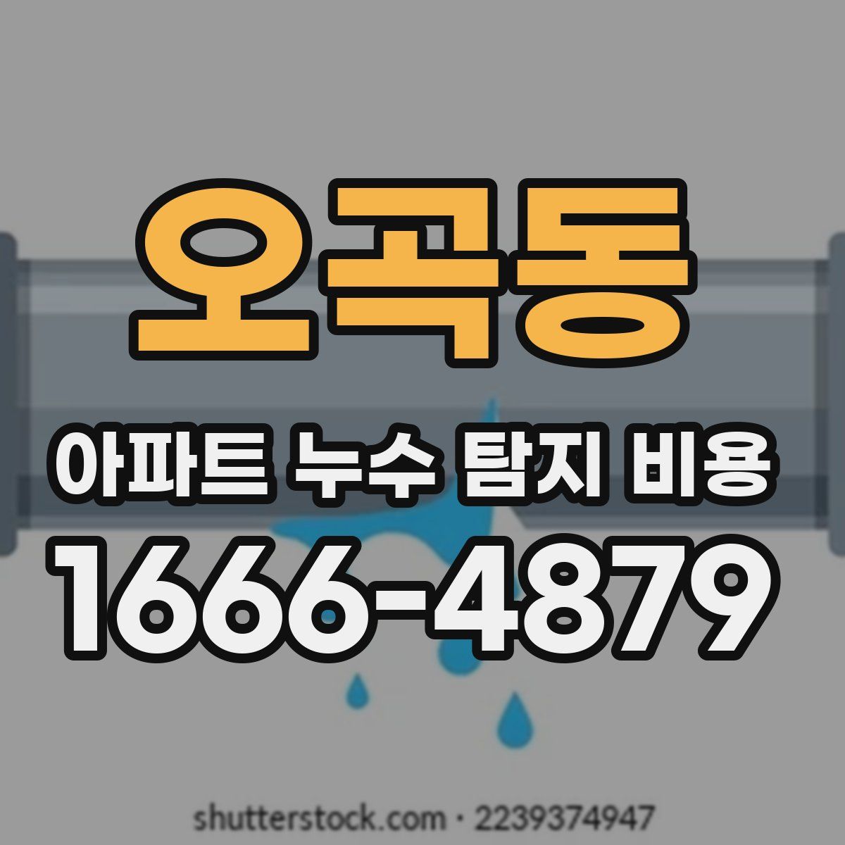 오곡동 아파트 누수 탐지 비용