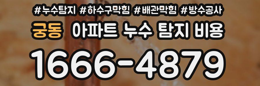 궁동 아파트 누수 탐지 비용