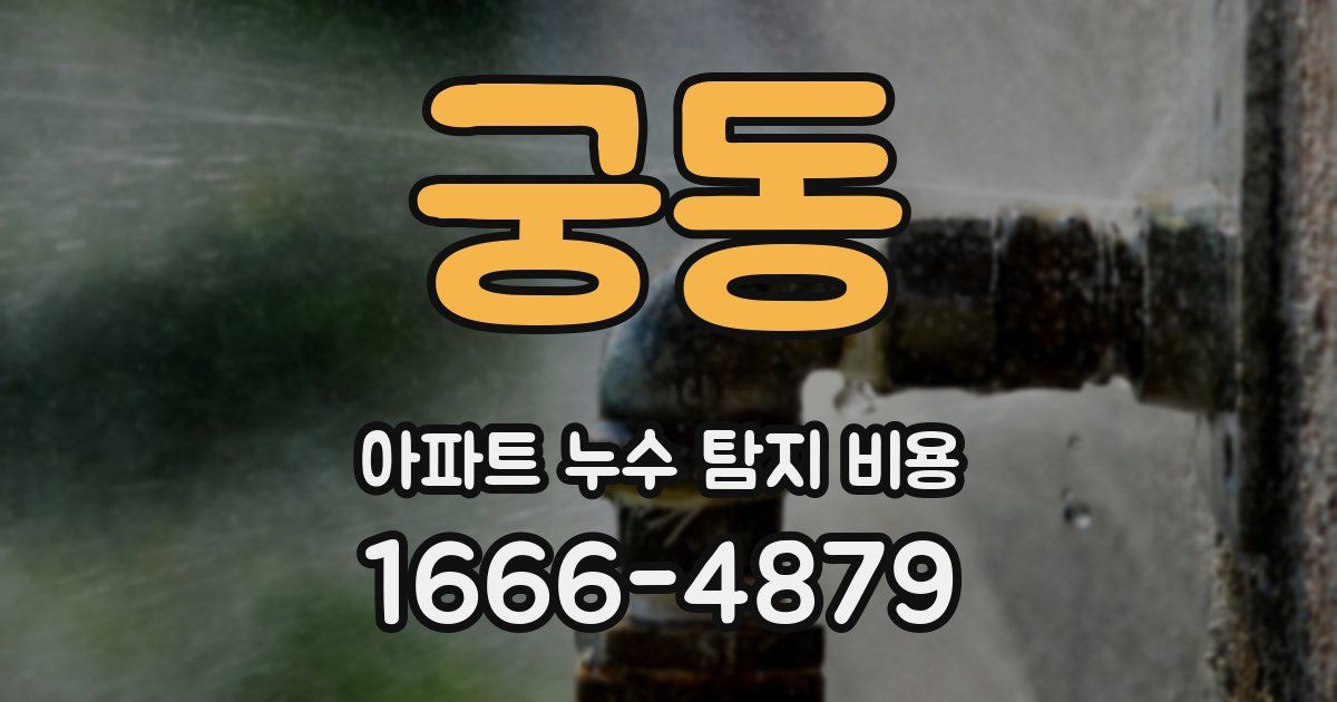 궁동 아파트 누수 탐지 비용