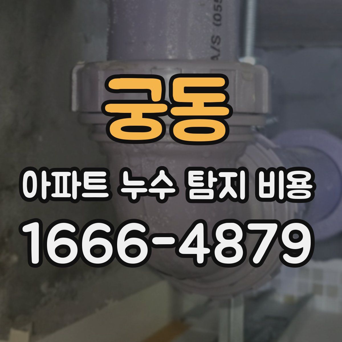 궁동 아파트 누수 탐지 비용